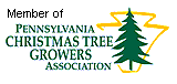 Link to Pennsylvania Christmas Tree Growers Association